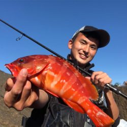 望月ハードロック