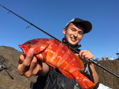 望月ハードロック