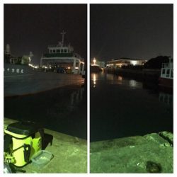 寂しい釣果(＞＜)