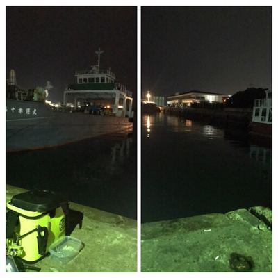 寂しい釣果(＞＜)