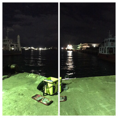 極寒+爆風の中でのヒイカ釣り