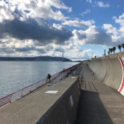 寒波ライトゲーム