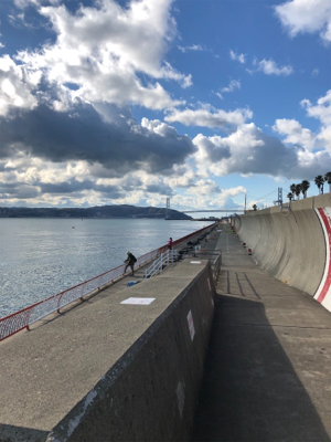 寒波ライトゲーム