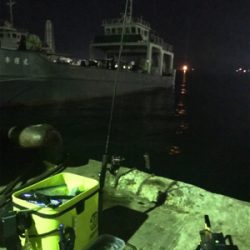 今年最後のヒイカ釣り＼(^^)／プチ1091状態！