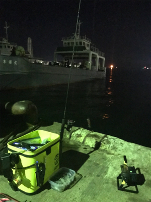 今年最後のヒイカ釣り＼(^^)／プチ1091状態！