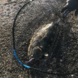 癒しのライトゲーム