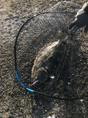 癒しのライトゲーム