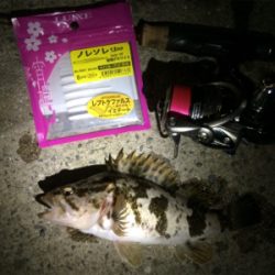 なんとか竿納まってよかった笑