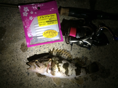 なんとか竿納まってよかった笑