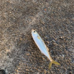 大晦日マイクロジギング