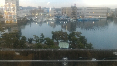 今年は型が小さい。。。