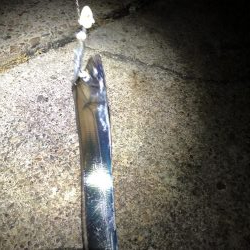 寒波が来る前に