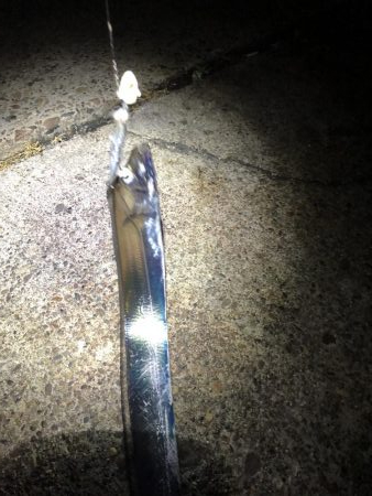 寒波が来る前に