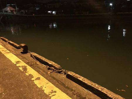 ちょい釣り セイゴ