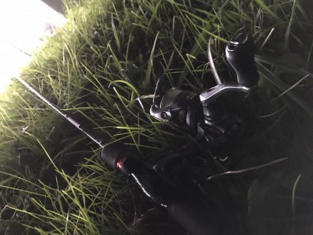 クリスマス釣りー