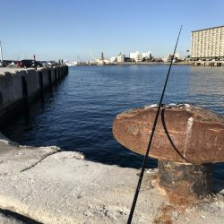 本命で釣り納め