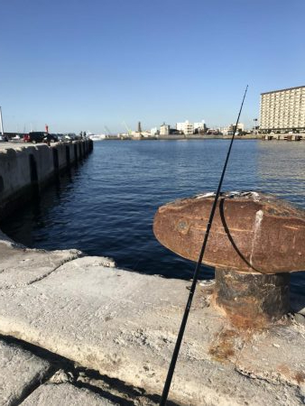 本命で釣り納め