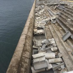 南風の中でヤツが来た