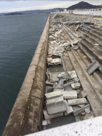 南風の中でヤツが来た