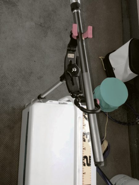 本命は釣れず！