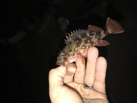 今日もライトワインド修行