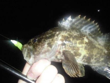 ぎゃぁあああ！！！（グロ注意）