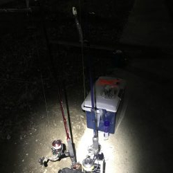 タチウオ終盤戦