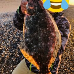 サーフでフラット狙い釣行