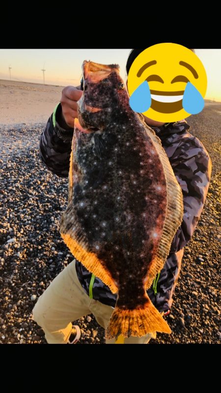 サーフでフラット狙い釣行