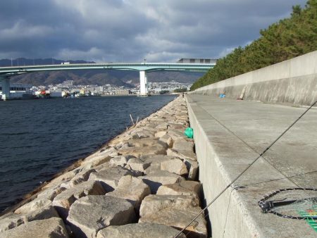 久々のサヨリ釣行