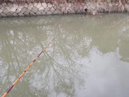 寒フナ釣り