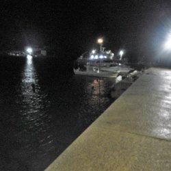 アラレ降ってきました