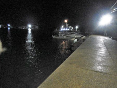 アラレ降ってきました