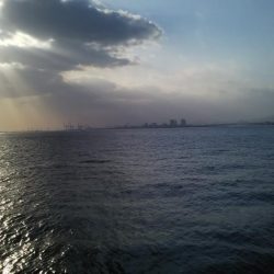 先週よりはマシか?