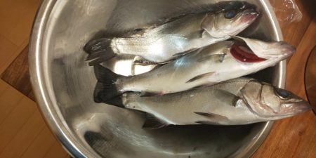 中紀ライトゲーム