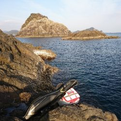 方座浦でグレ釣り