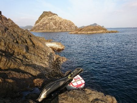 方座浦でグレ釣り