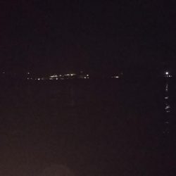 メバルとガシラ