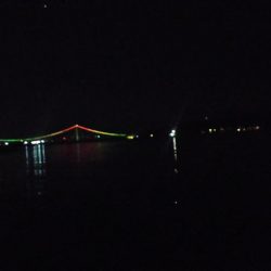 明石メバル調査