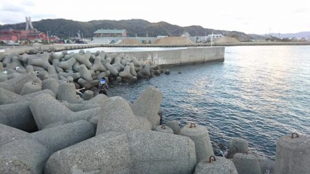 メバル、ガシラ、チャリコ