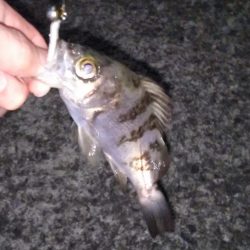 クリスマスライトゲーム