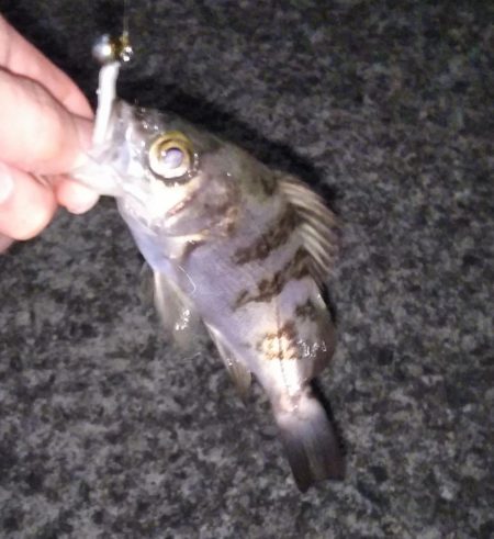 クリスマスライトゲーム