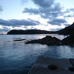 夕まずめ、回遊、連発