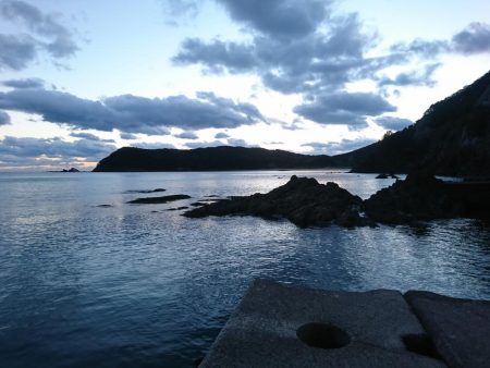 夕まずめ、回遊、連発