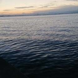 今日はクリスマスイブフィッシング！