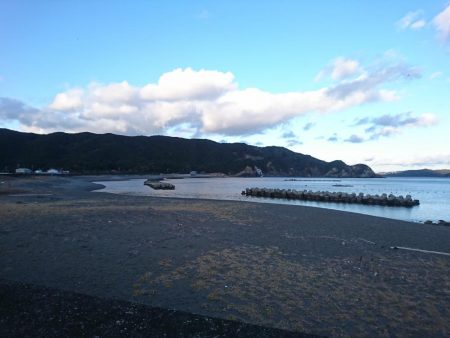 マゴチとアオリイカ