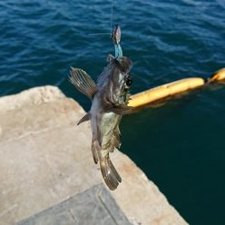 ライト・ワインド