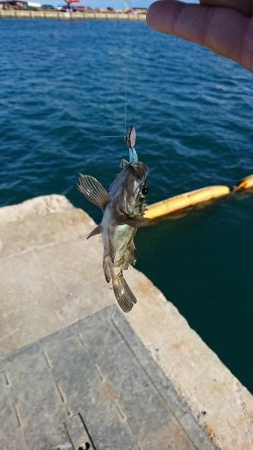 ライト・ワインド