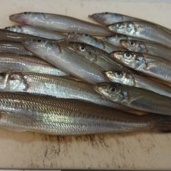 でかキスを求めて