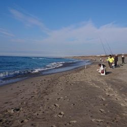 まだまだキスいます